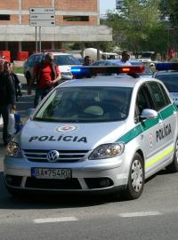 Slovenská policie (ilustrační foto)
