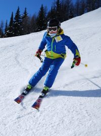 Lyžování, lyžař (ilustrační foto)