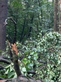 Velké škody v přerovské rezervaci Žebračka