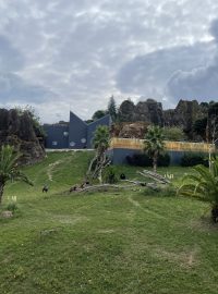 Venkovní výběh pro gorily ve španělské zoo v parku Cabarceno