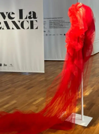 Výstava Liběny Rochové v Paříži